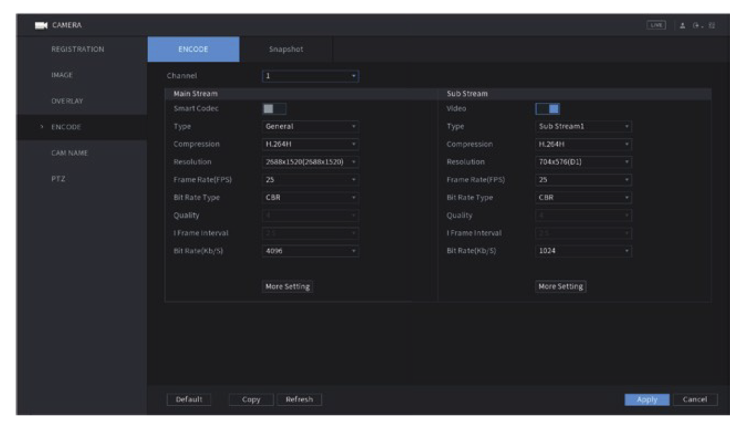 How to Set up Dahua CCTV system 11 Dahua_CCTV_Setup_Encode.png