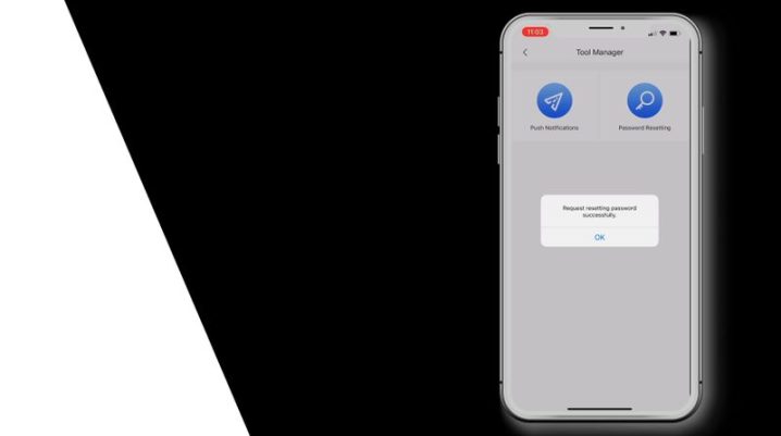 IC Realtime Firmware Updates 2024 9 Password Reset NVR DMSS - 10.jpg