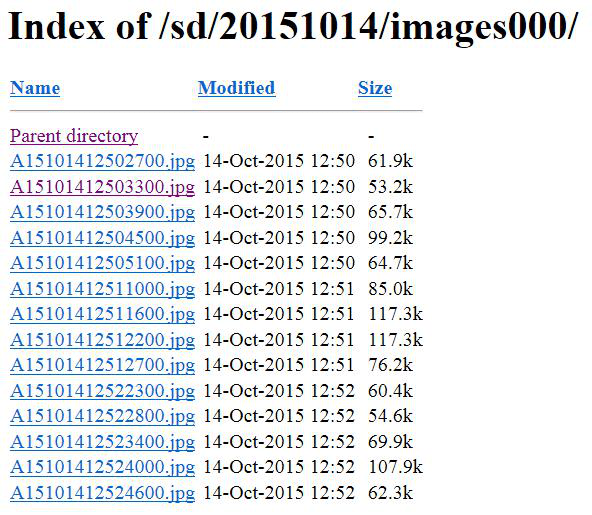 CamhiPro user manual 57 How to view pictures card and download video of SD