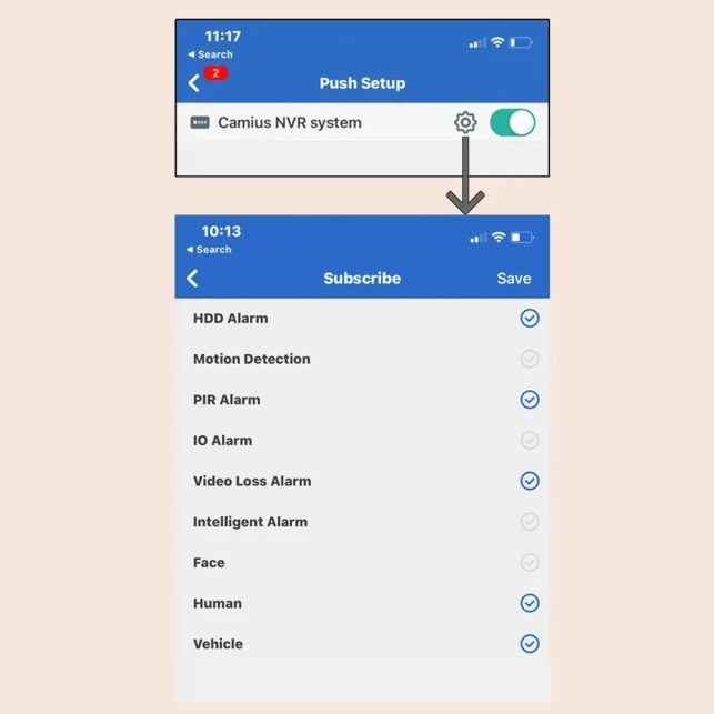 How to Use Camius View app 14 Select notifications types camius view