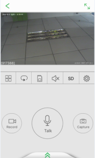 Picture 7038 189w314h