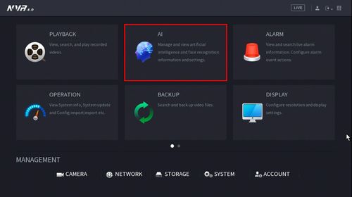DAHUA AI Setup Guide