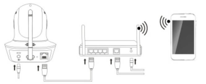 please connect the network cable