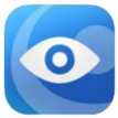 GV-Eye Installation Guide